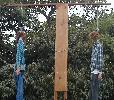 Gallows