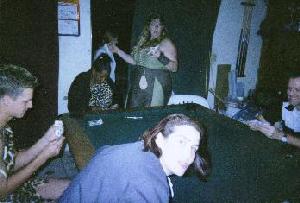 Partygoers